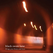 Things You Know And Love by Black Swan Lane