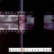 Posi002: Eco-Hed