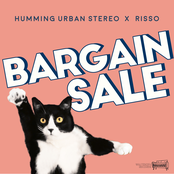 Bargain Sale - Single