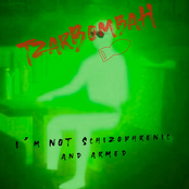 I'm NOT Schizophrenic and Armed