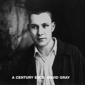 Debauchery by David Gray