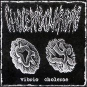 Vibro Cholerae / Surgical Serenades