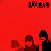 The Flashbulb: Red Extensions of Me