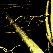 Works on Words IV - Gnoma