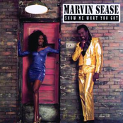 Love Machine by Marvin Sease