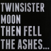 Then Fell The Ashes...