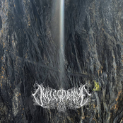 Many are my Names Besides