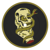 D.Dan: Mutant Future