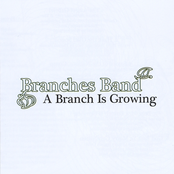A Branch Is Growing