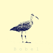 Bobel