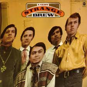 A Very Strange Brew