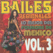 Bailes Regionales Vol. 3 (Lo Mejor del Folklore de Mexico)