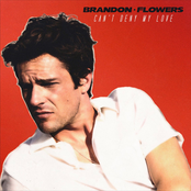 Brandon Flowers: Can't Deny My Love