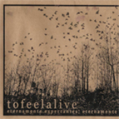 Eternamente Expectantes; Eternamente Frustrados