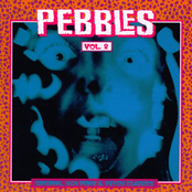 Pebbles Vol. 2