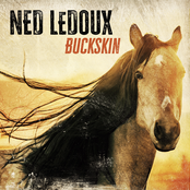 Ned LeDoux: Buckskin
