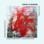 BIRDS SINGING ON THE MOON