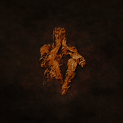 Screaming At The Sun