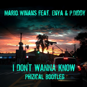 I Don't Wanna Know (feat. Enya and P. Diddy) [Atmos Mix]