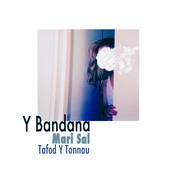 Mari Sal / Tafod Y Tonnau