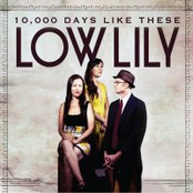 Low Lily: 10,000 Days Like These