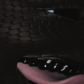 FLESH GOD