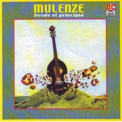 Cabellos Blancos by Orquesta Mulenze