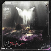 Divine Sensation