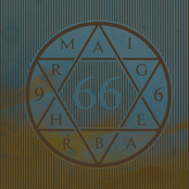 66