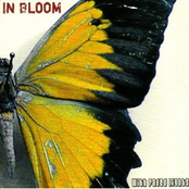 The New Part by In Bloom