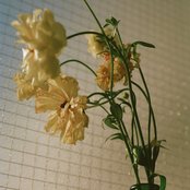 しばらく