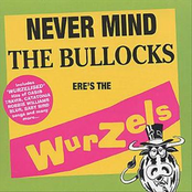 Don't Look Back In Anger by The Wurzels