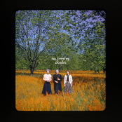 Ken Pomeroy: Cicadas