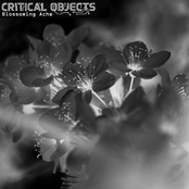Blossoming Ache