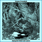 Sharpened Buds Like Lances