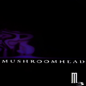 Mushroomhead: M3