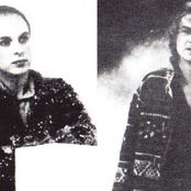 brian eno & peter sinfield