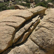 The Prettiest Vagina on Fox News