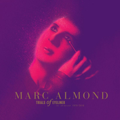 Something's Gotten Hold Of My Heart by Marc Almond & Gene Pitney