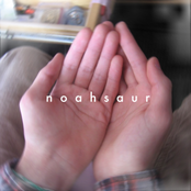 noahsaur