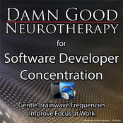 Damn Good Neurotherapy (Software Developer Concentration)