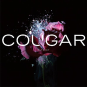 Stay Famous by Cougar