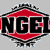 angeli