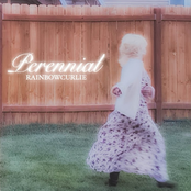 Perennial