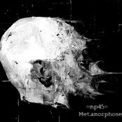 Metamorphose