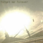 forget me forever