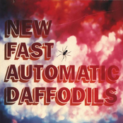 Cannes by New Fast Automatic Daffodils