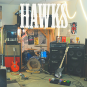 Plush by Hawks