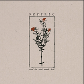 The Crushing Weight of Failure b/w Kill for the Ones You Love