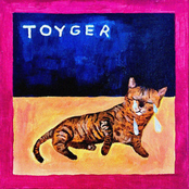 Toyger